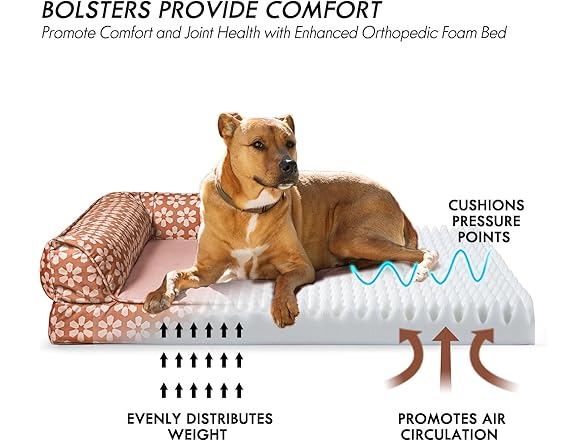 ClevaHome Comfort Orthopedic Dog Bed for Large Dogs