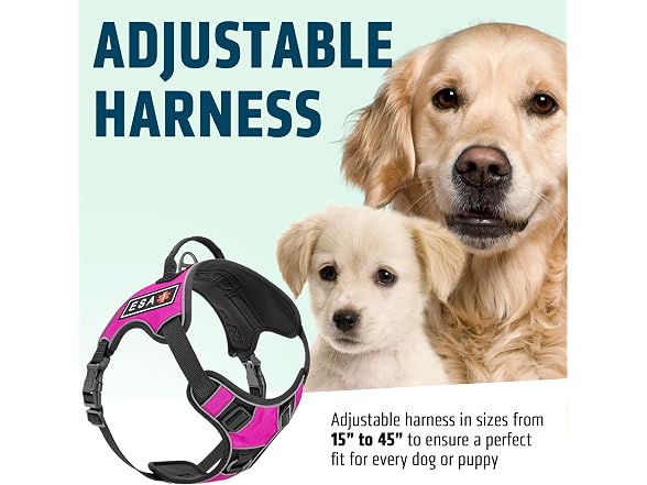Dogline Quest No-Pull Dog Harness with 3D Ru