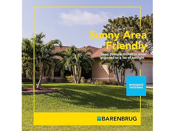 PanAm Bermudagrass Seed, 25 lb Bag