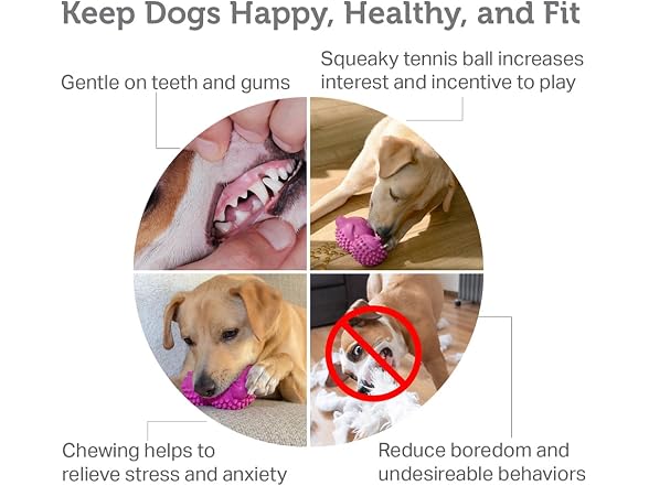 Friends Forever Squeaky Dog Toys with Tennis Ball