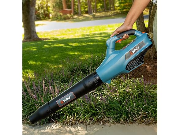 SENIX X5 58 Volt Max Handheld Cordless Leaf Blower