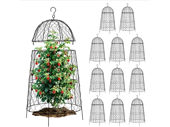 DFJFIFF 12Pcs Garden Cloche