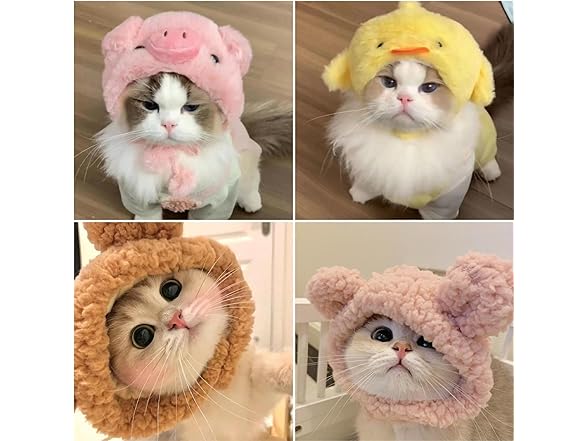 EFKLXMVYQ Pets-52 Chick Cute cat