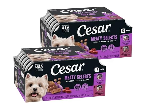 24ct Cesar Classic Loaf in Sauce Adult Wet Dog Food