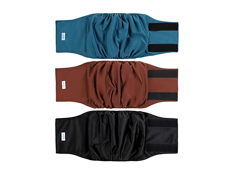 3 Pack High Absorbing Dog Belly Bands- Size M