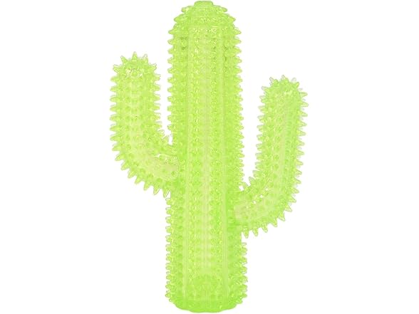 Gnawsome Spiky Chew Toy, Your Choice