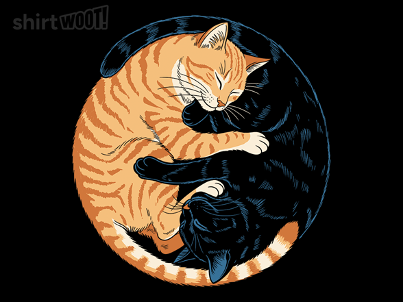 Yin Yang Catnap