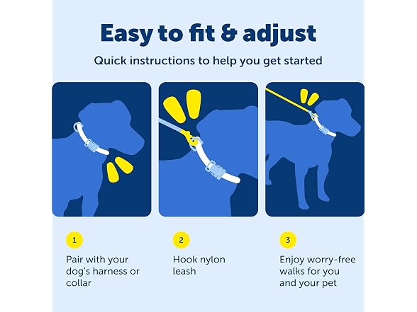 PetSafe Nylon Dog Leash 3/4" x 4', Red