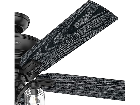 Hunter Fan 54-inch w/ Light and Pull Chain, Refurbished