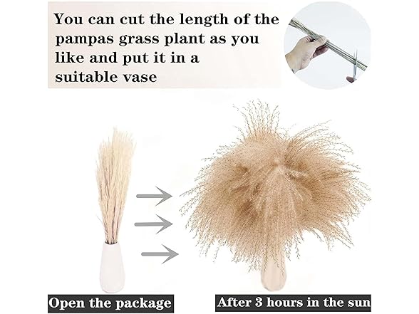 Dried Pampas Grass Decor 100 PCS