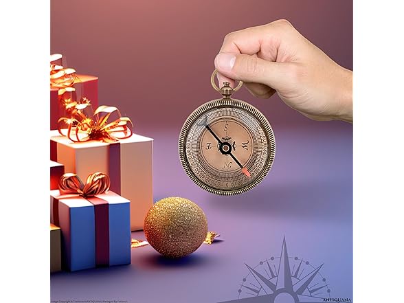 ANTIQUANA Brass Compass in Case