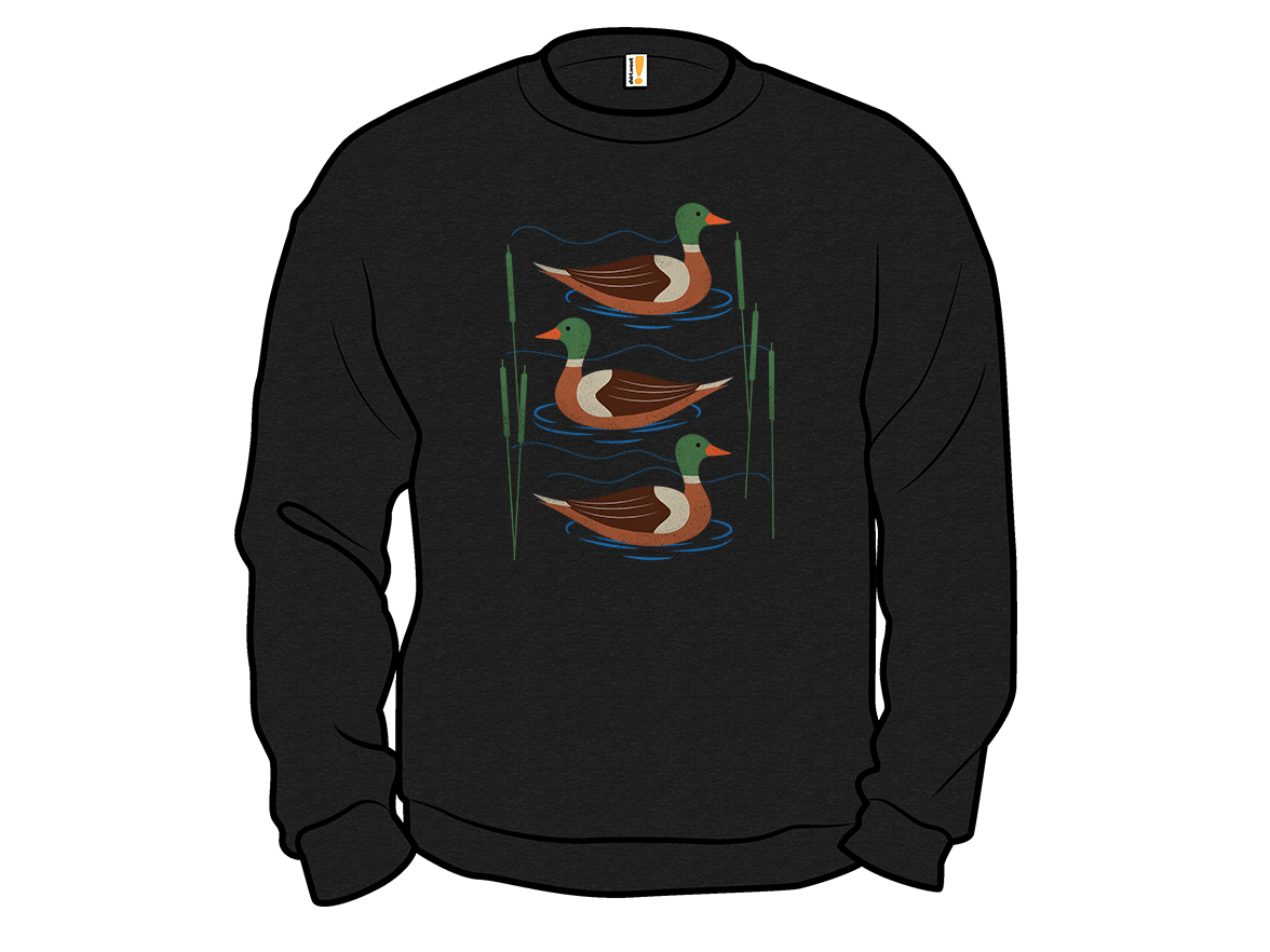 Ducks in the lake - Gallery 11