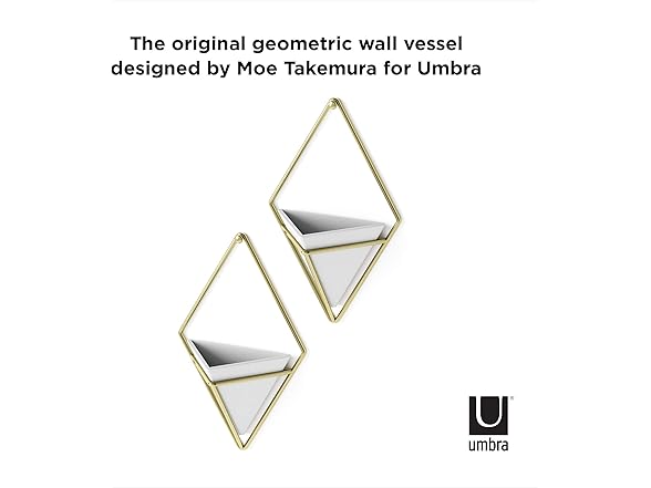 Umbra Trigg Hanging Planter Wall Decor