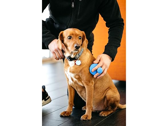 Dexas BrushBuster Silicone Gentle Dog Grooming Brush, Blue