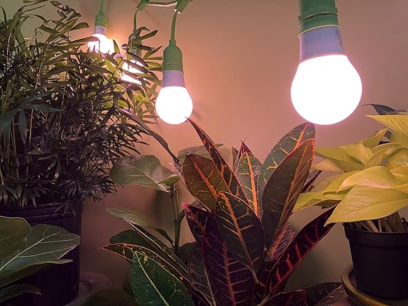 Growing Kit Red Spectrum 6.5KK