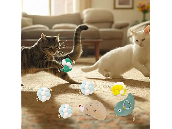 HFZRZFH Cat Toy Set