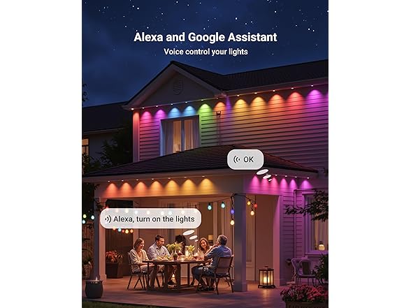 Permanent Outdoor Lights | 100ft