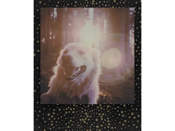 Polaroid Originals - 4932 - Color Film f