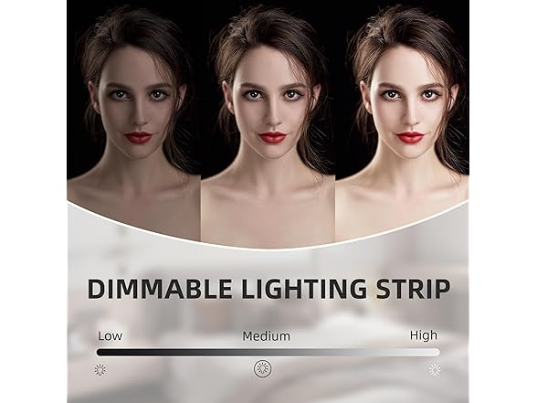 VANITII Vanity Mirror with Lights