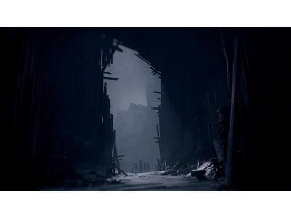 REANIMAL: Collector's Edition