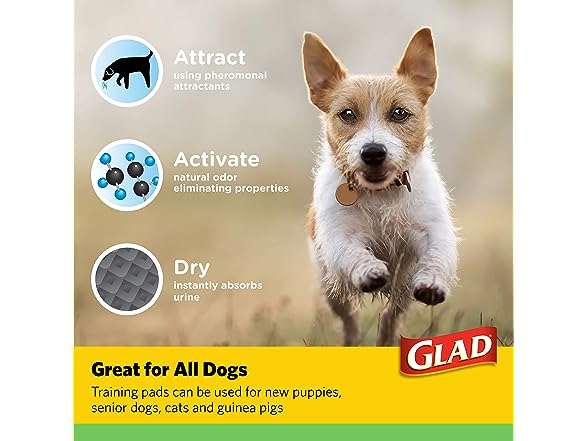 Glad for Pets Earth Friendly Bamboo Trai
