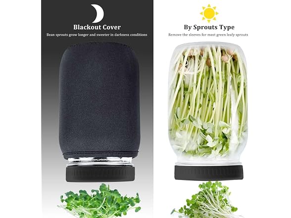 Kitmiido Organic Seed Sprouting Kit