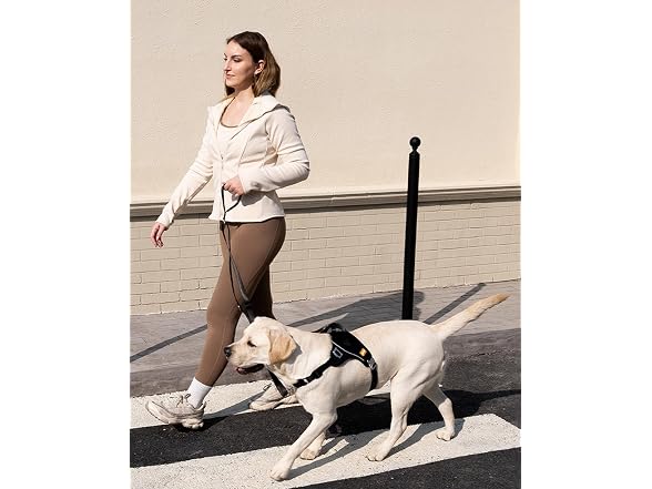 DF No Pull Martingale Dog Harness and Leash