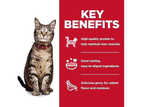 12PK Hill's Science Diet Adult 1-6 Wet Cat Food