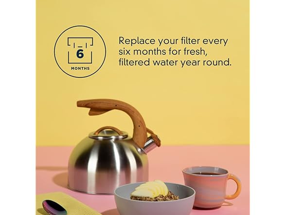 everydrop Refrigerator Filter 1 EDR1RXD1, Single
