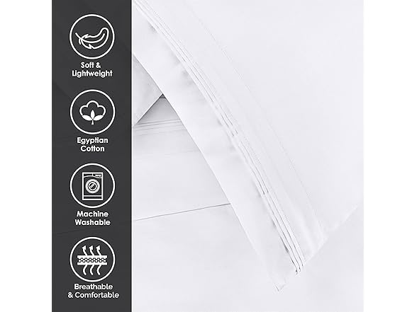 Superior 650-Thread Count Egyptian Cotton 2-Piece Pillowcase Set