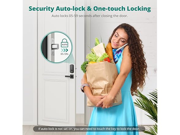 DS10 Keyless Entry Door Lock with Handle Set