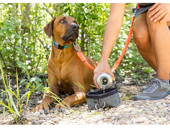 Stunt Puppy Dog Collar, Fi Series 3 and 3+ R