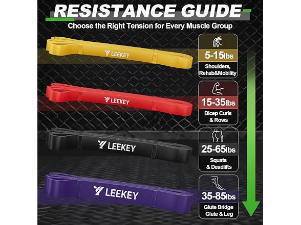 LEEKEY Resistance Bands Set