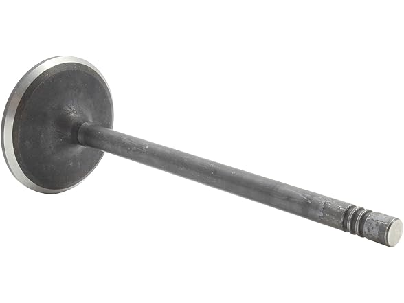 DNJ IV3138 Intake Valve for 2002-2006 