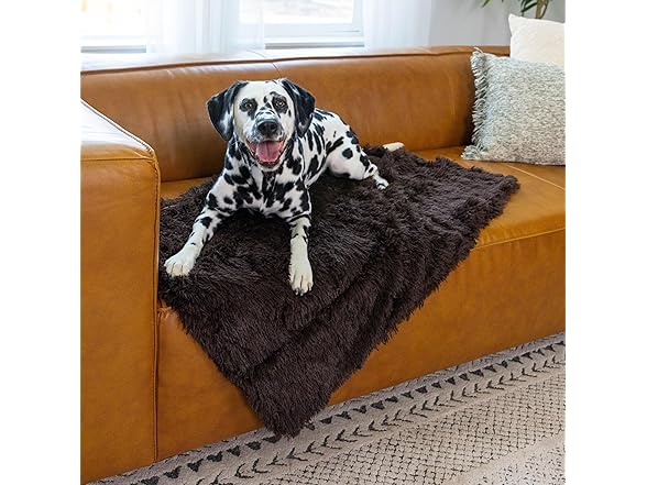 Best Friends by Sheri Calming Shag Blanket