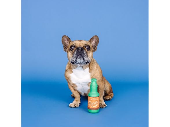 Fringe Studio Beer O'CLOCK Rubber Dog Toy