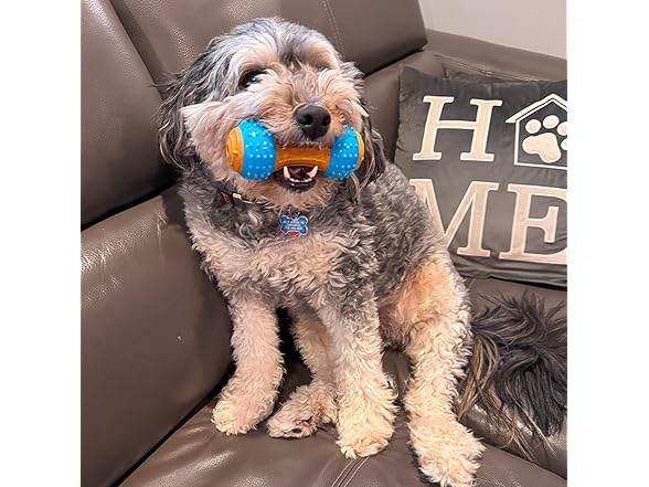 SPOT Bam-Bones Plus Gigglers Dumbbell Durable Dog Chew Toy