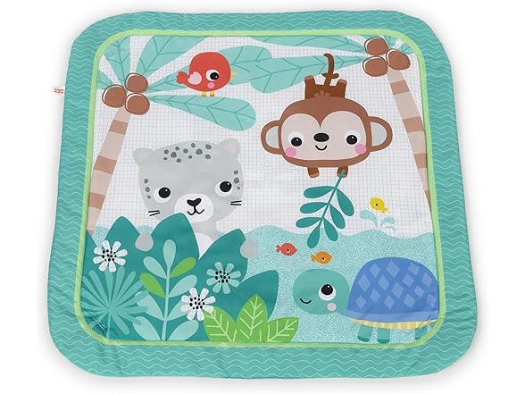 Bright Starts Palm Party Activity Gym