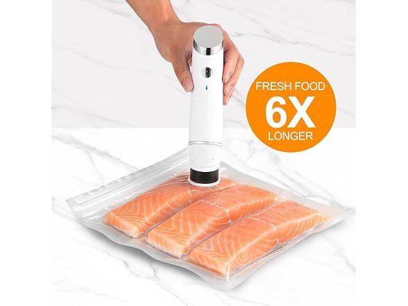 Portable Vacuum Sealer w/ 30 Bags