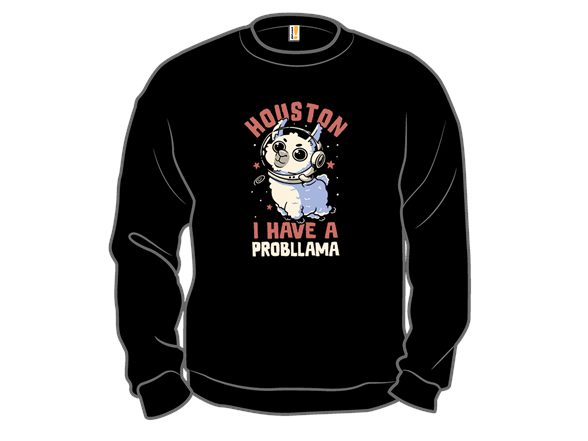 Houston I Have a Probllama