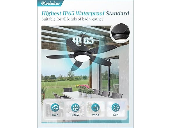 Fanbulous Outdoor Ceiling Fan with Lights