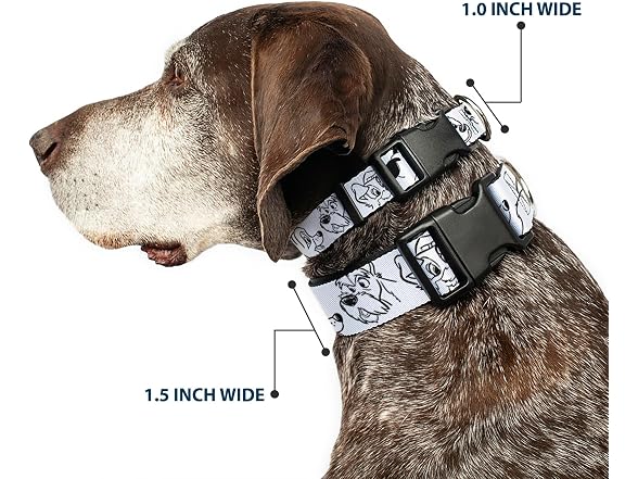 Disney Plastic Clip Dog Collar