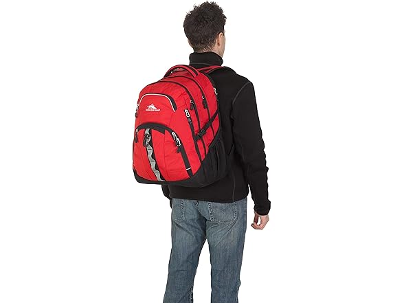 High Sierra Access 2.0 Laptop Backpack