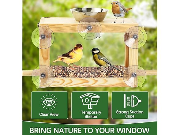 CypherX Window Bird Feeders for Outdoor