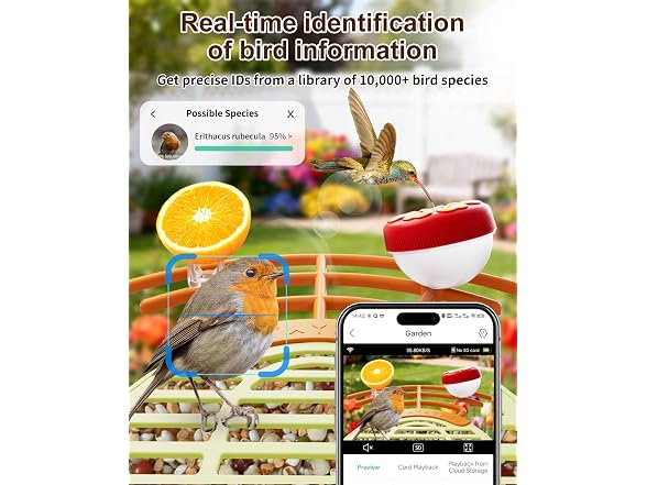 Solar Powered Bird Feeder with Camera
