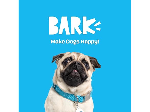 BarkBox BarkBox Maury EEL Plush Dog Toy