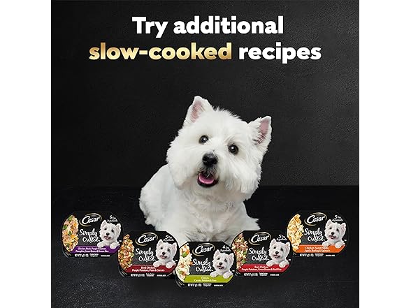2PK Cesar Simply Crafted Wet Dog Food Topper