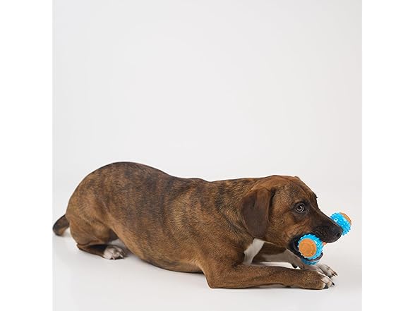 SPOT Bam-Bones PLUS Gigglers Dog Toy