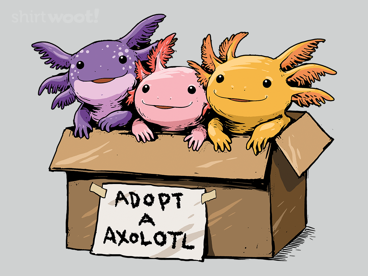 Adopt a Axolotl - Gallery 4