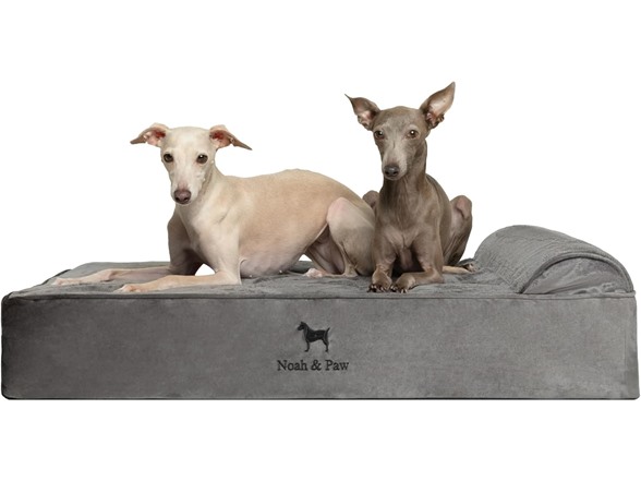 NOAH & PAW Orthopedic Dog Beds- Large